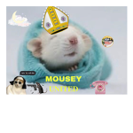 MOUSEY UNITED