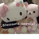 ｡blossoms apparel ｡