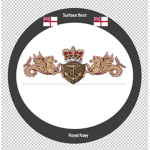 Surface Fleet [RN]