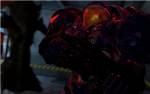 terran marines
