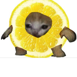 lemon_squad!!!!!!