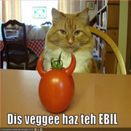 Funny cat----READ DESC Roblox decal