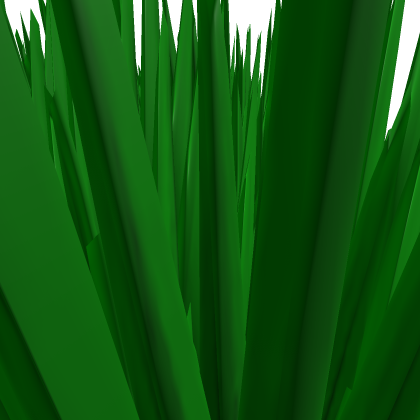 big grass patch