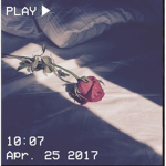 DIY Roses Aesthetic Outfits