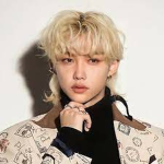 stray kids felix fan club!!!