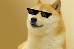 DogePlayzzz Group