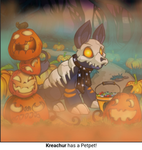 Paw Pumpkin