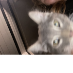 Hiiiiii123