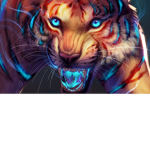Shadows tigers