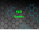 T&Z Games
