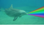 The Blue Dolphins