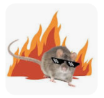 CoolRatKingFiens
