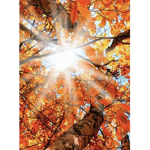 autumn leaves <3