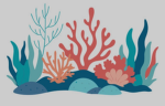 ~ Coral Gymnastics Club ~