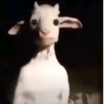 Angel Bro