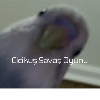 Cicikuş savaş oyunu