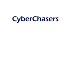 Cyberchasers Series