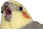 Shut Up.mp4