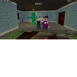 SWORD FIGHTING ARENA