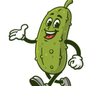 picklee clothes