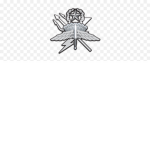 Bravo Co., 1st Btn., 3rd Special Forces