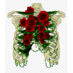 Roseslove