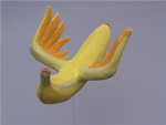 Flying bananas