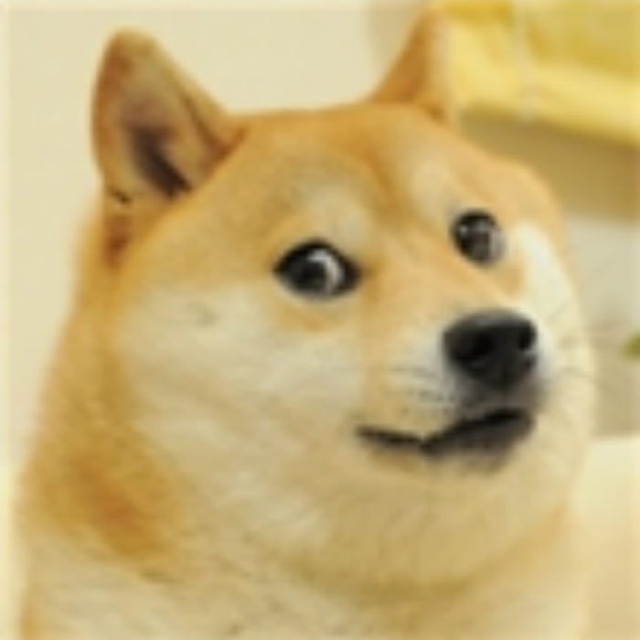 funny dog 21 Roblox decal