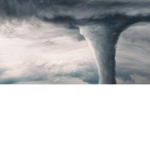 Pepperoni Storms, Inc. ###########