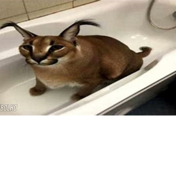 You and other person in the eternity with Floppa