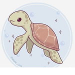 Turtle Are Epik