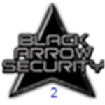 Black Arrow Security 2
