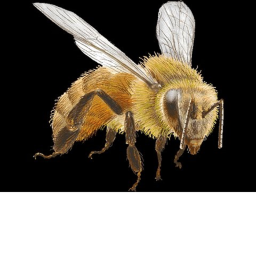 Bee Swarm A new gen