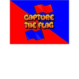 CAPTURE THE MAGIC FLAG!!