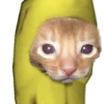 BananaCatMan