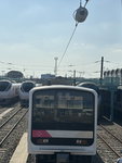 のら猫の電車