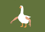 aungus bucks