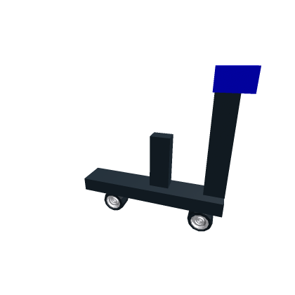 scoter