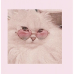 siola aesthetic