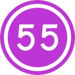 #55 Shaped States