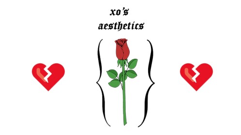 XO Aesthetics Home Store