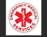 EMS Group....