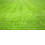 Grass Incorporated Rules