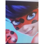 Miraculous Ladybug Fan Club by Abby