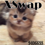 X swap