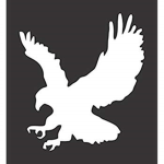 Nighthawk Corps