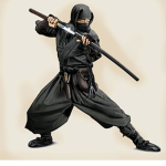 The Ninja’s of Roblox Clan