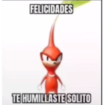 La doña gatos xd