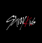 STRAY KIDS MEGAVERSE