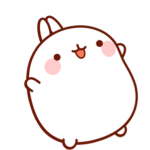 The_Narwhals